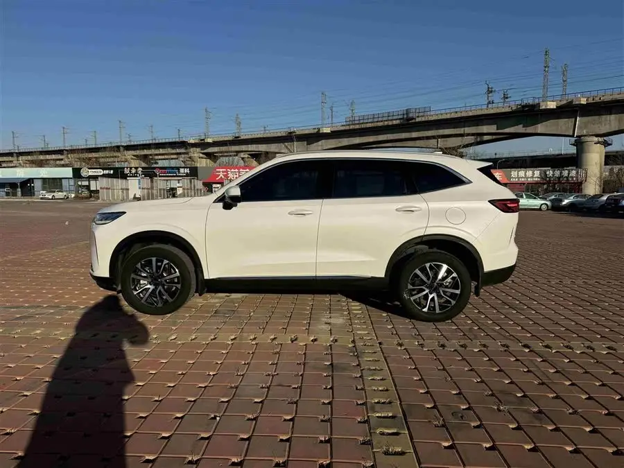 Haval H6 2022 Model Third Generation 1.5T Automatic Two-Wheel Drive Pro