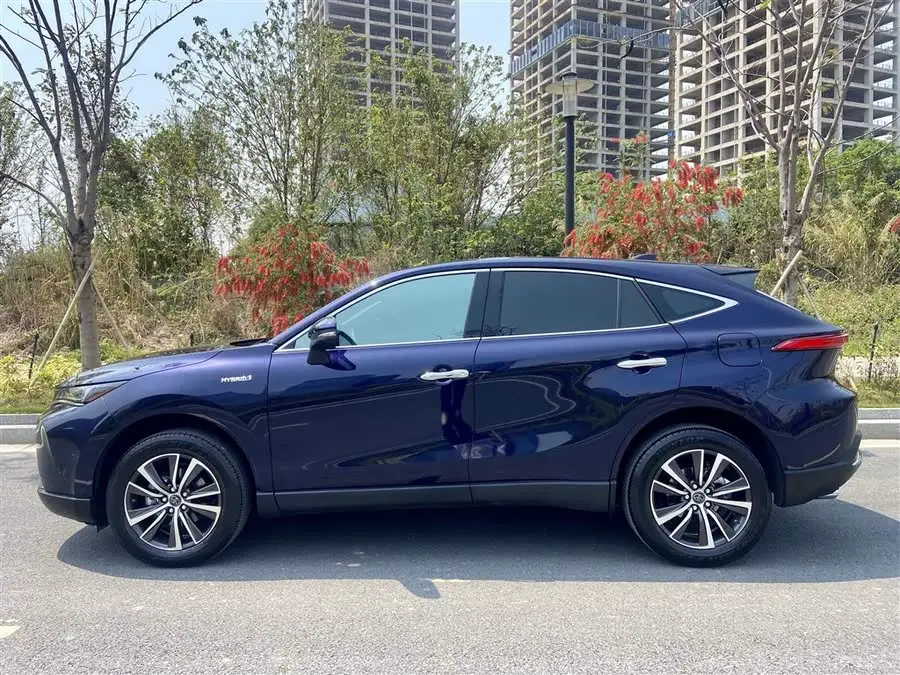 لينغفانغ هارير 2022 هجينة 2.5 لتر CVT دفع ثنائي فئة فاخرة