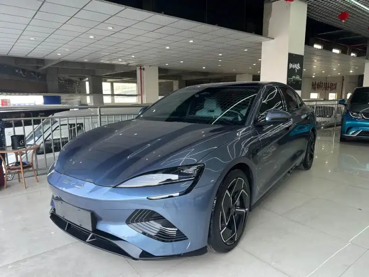 Sealion 2022 Model 700km Long Range Rear Wheel Drive Version