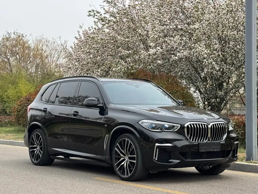 BMW X5 2022 xDrive 40Li M Sport Package