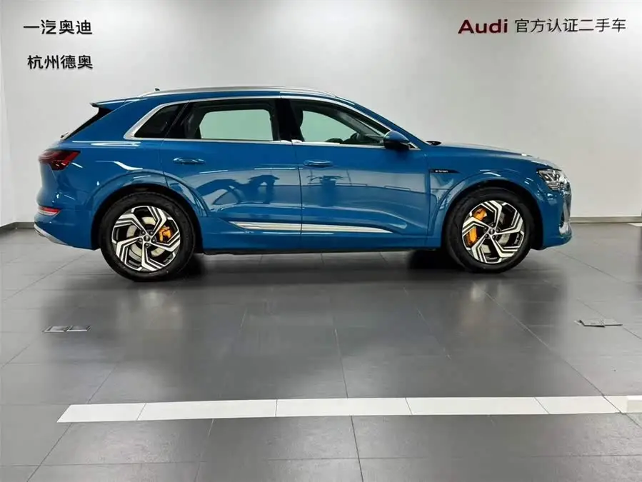 Audi e-tron 2021 50 quattro Selection