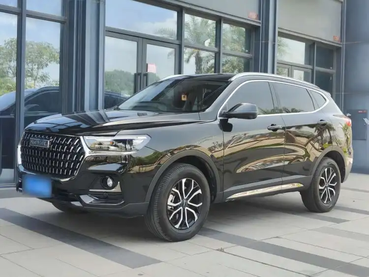 Haval H6 2023 National Trend Edition 1.5T Automatic Urban Version