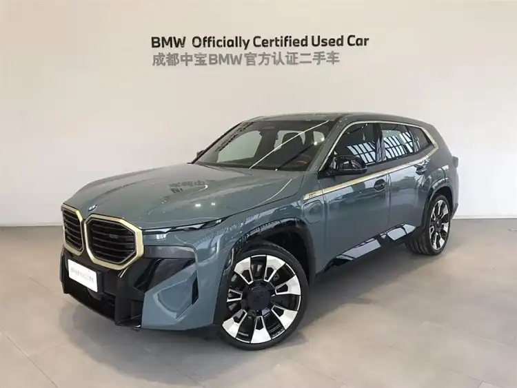 BMW XM 2023 Basic Model