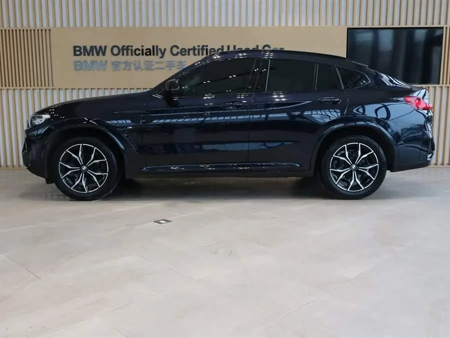 BMW X4 2022 xDrive 25i M Sport Package