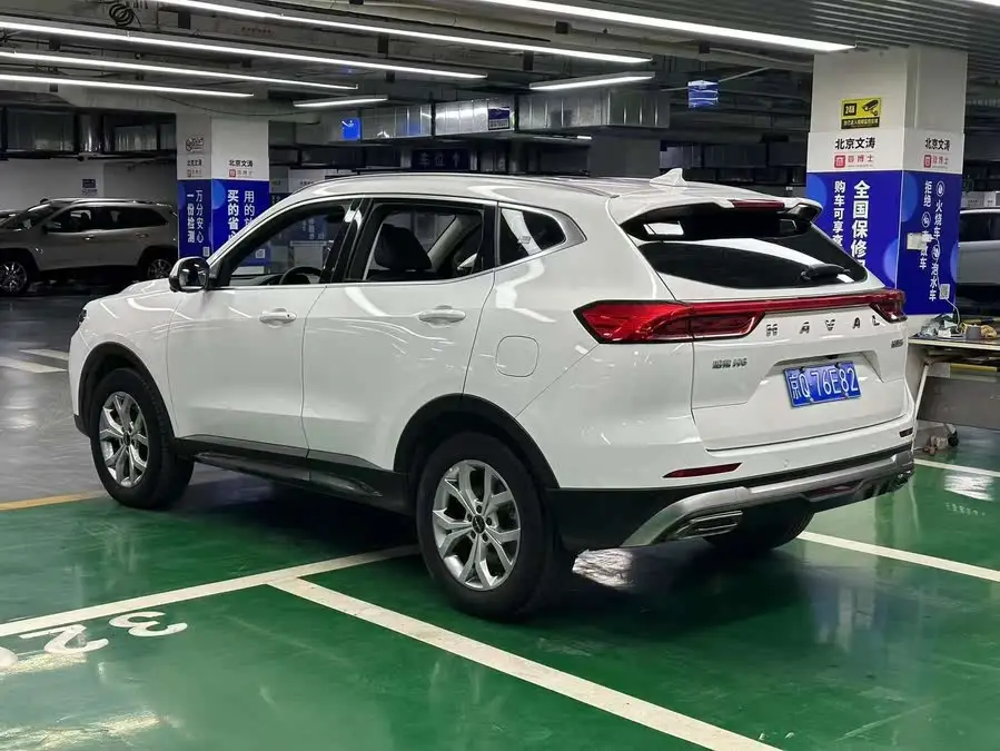 Haval H6 2021 National Tide Edition 1.5GDIT Automatic Luxury Version