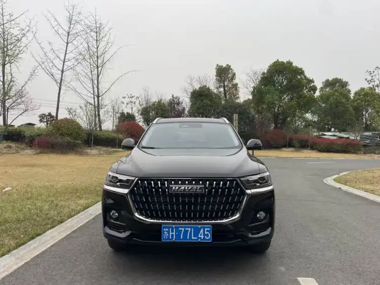 Haval H6 2023 National Trend Edition 1.5T Automatic Champion Version