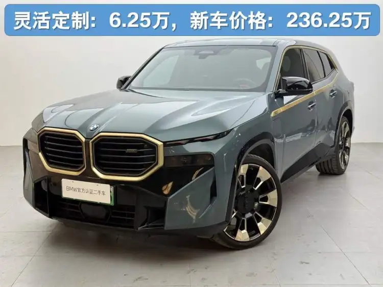 BMW XM 2023 Basic Model