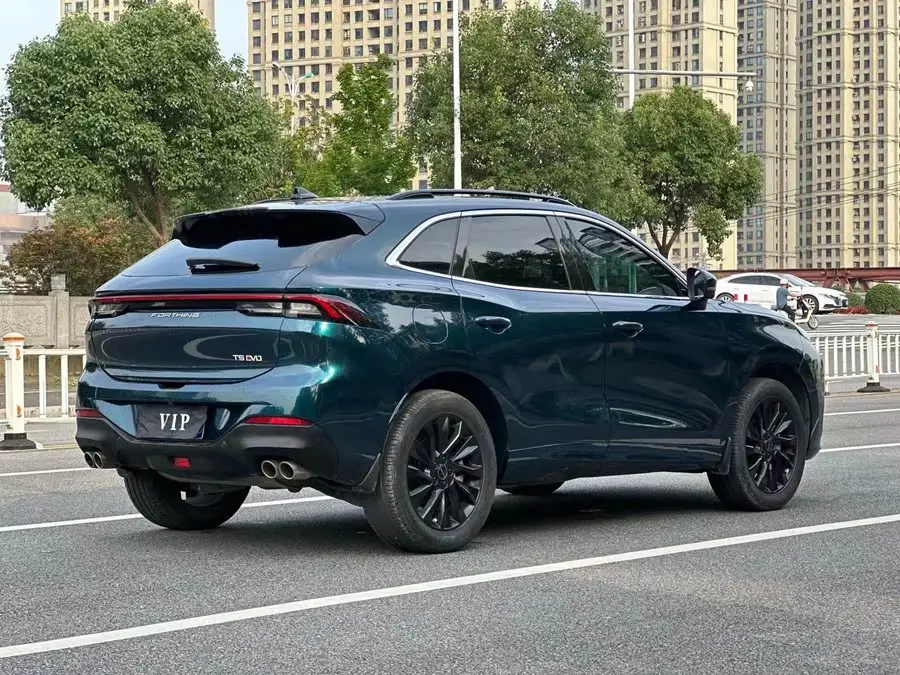 Fengxing T5 EVO 2021 1.5TD DCT Star Edition