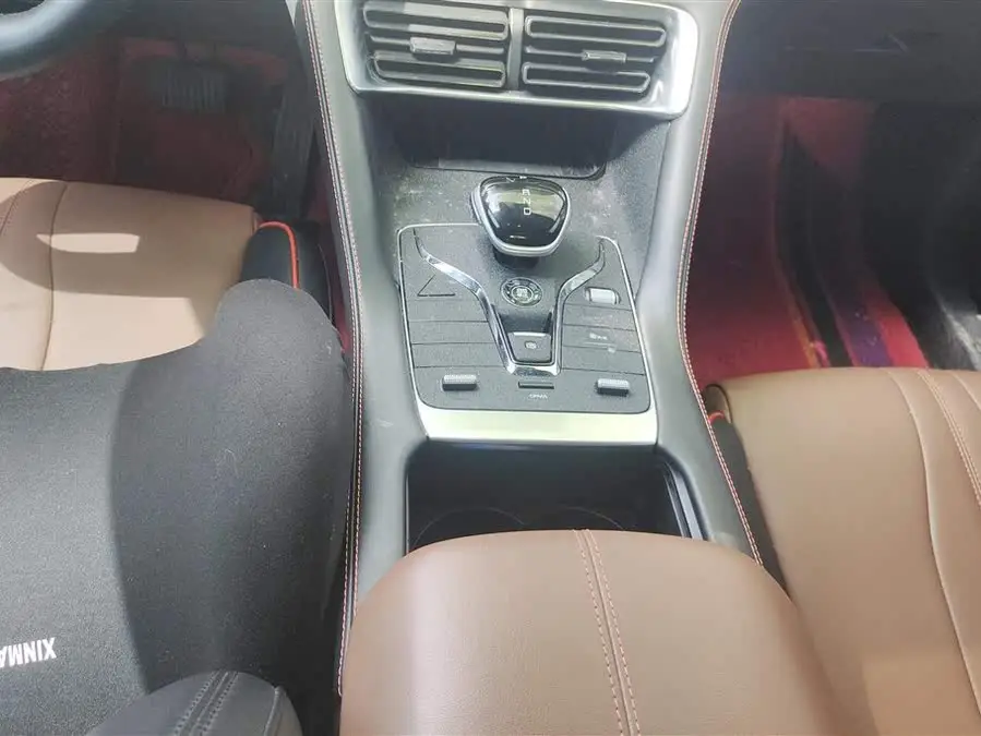 Song PLUS 2020 1.5T Automatic Premium