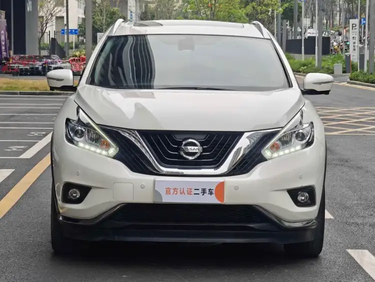 Luo Lan 2021 2.5L XL Two-Wheel Drive Intelligent Luxury Version