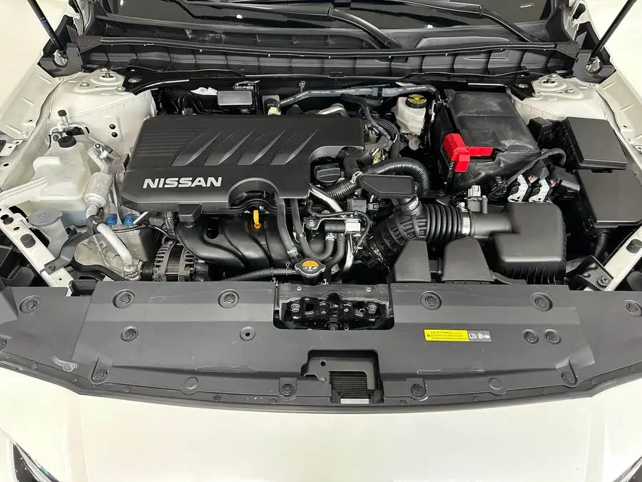 Tianlai 2021 2.0L XL Comfort Edition