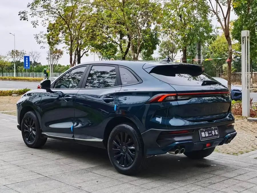 Fengxing T5 EVO 2024 Crazy Edition 1.5TD DCT Customized Version