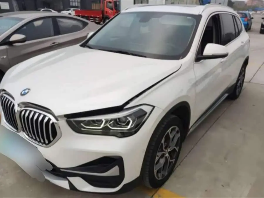 BMW X1 2020 sDrive20Li Luxury