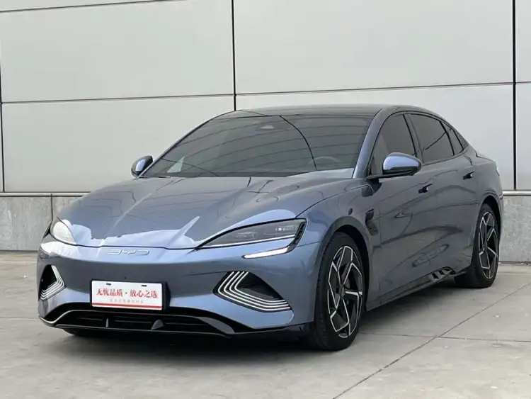 Sealion 2022 Model 700km Long Range Rear-Wheel Drive Version