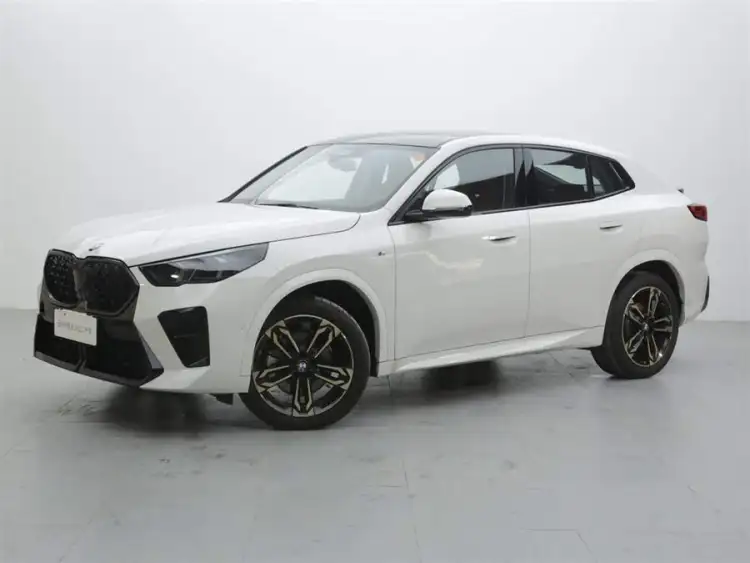 BMW X2 (Imported) 2024 Model xDrive25i M Sport Night Package