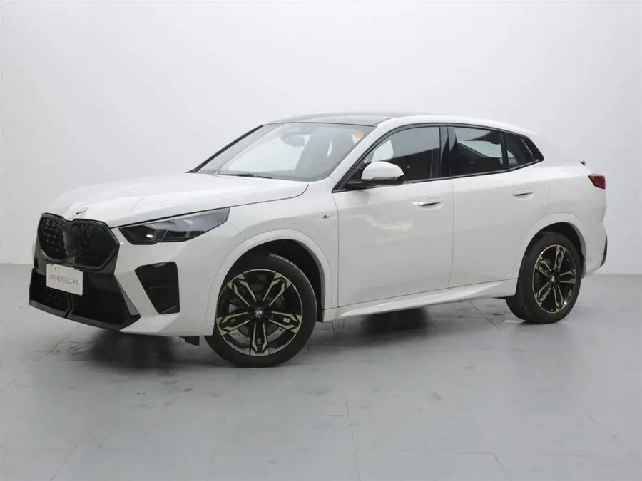 BMW X2 (Imported) 2024 Model xDrive25i M Sport Night Package