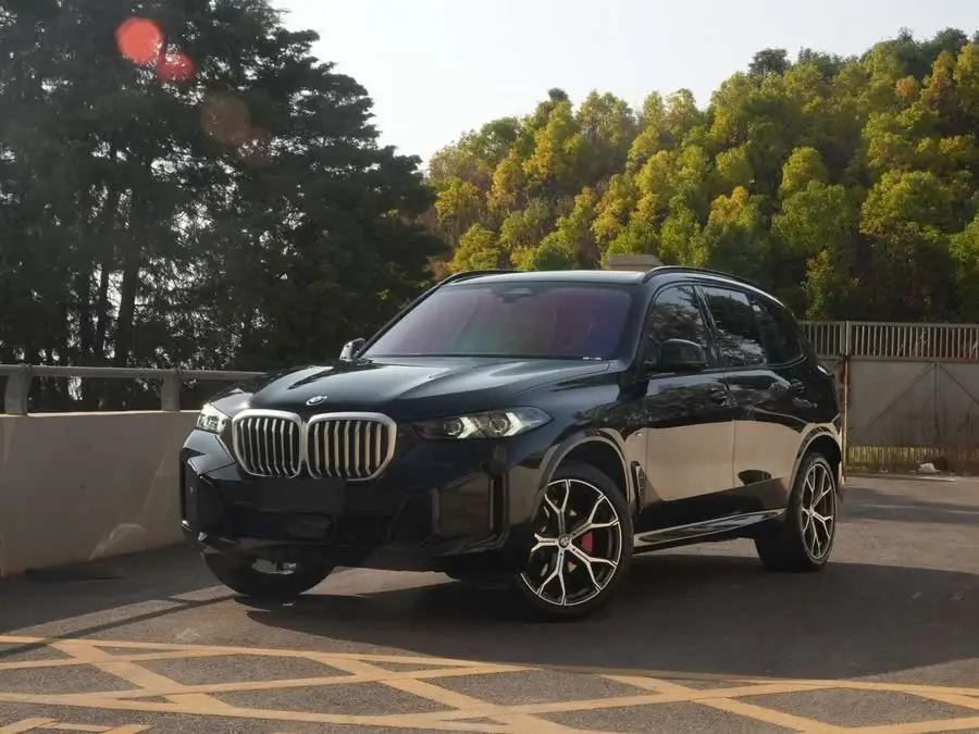 BMW X5 2023 xDrive 30Li M Sport Night Package