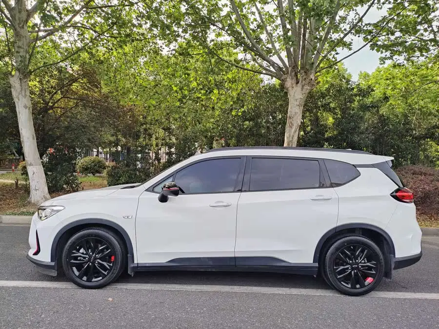 Wolando 2019 Redline 530T Automatic Enjoyment Version (5+2 Seater) National VI