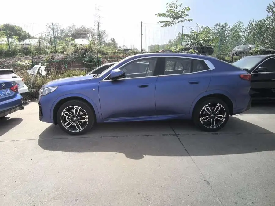 BMW X2 (Imported) 2024 Model sDrive25i M Sport Package