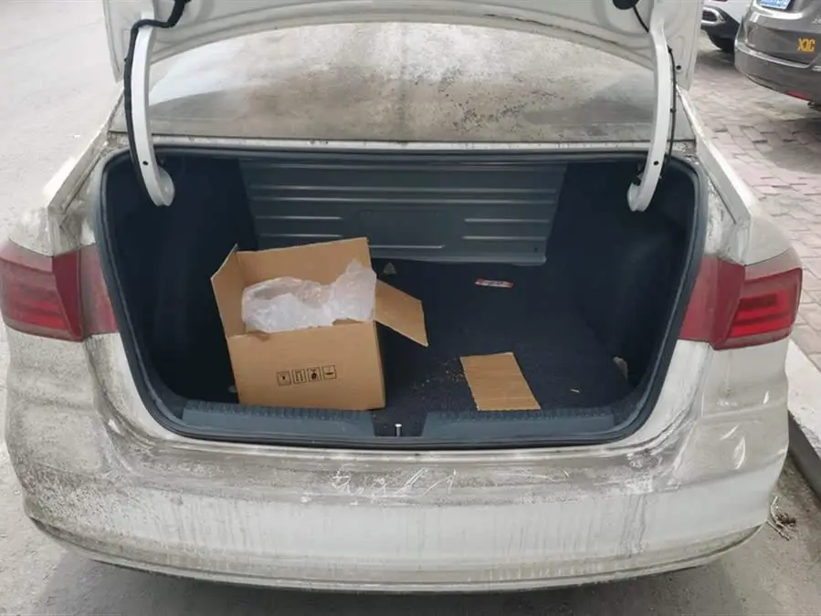 Santana 2019 1.5L Automatic Style Version National VI