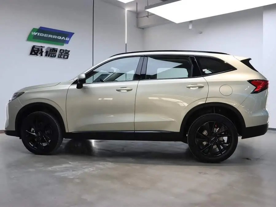 Haval H6 2024 1.5T Two-Wheel Drive Ultra