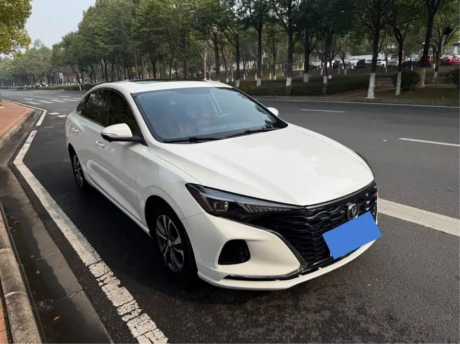 Yidong 2021 Plus Blue Whale NE 1.4T GDI DCT Premium Edition