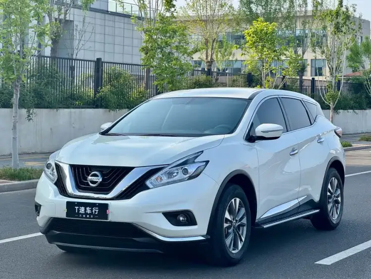 Loulan 2021 2.5L XE Two-Wheel Drive Elite Edition