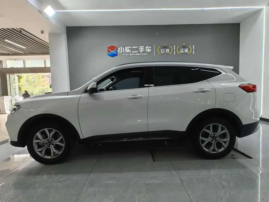 Haval H6 2021 National Trend Edition 1.5T Automatic Champion Version