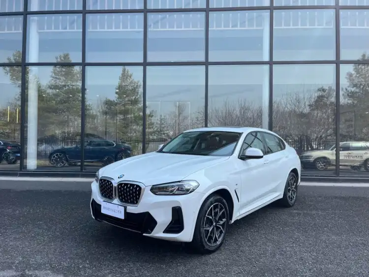 BMW X4 2022 xDrive 25i M Sport Package
