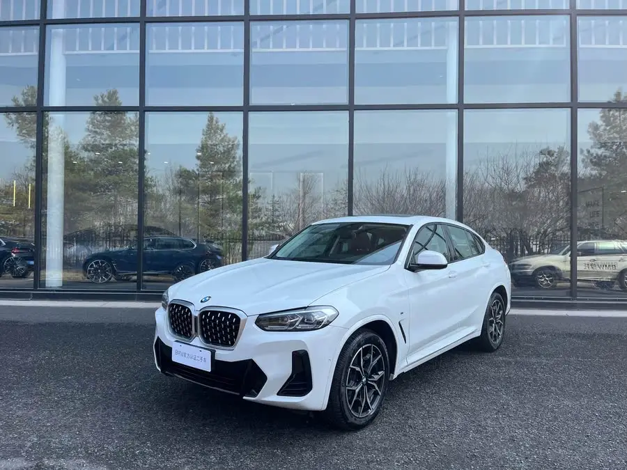 BMW X4 2022 xDrive 25i M Sport Package