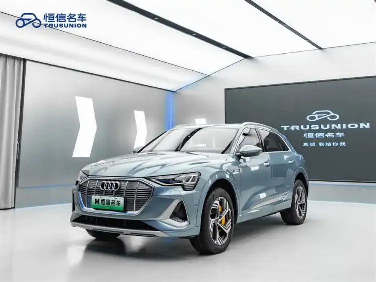 Audi e-tron 2021 50 quattro Premium