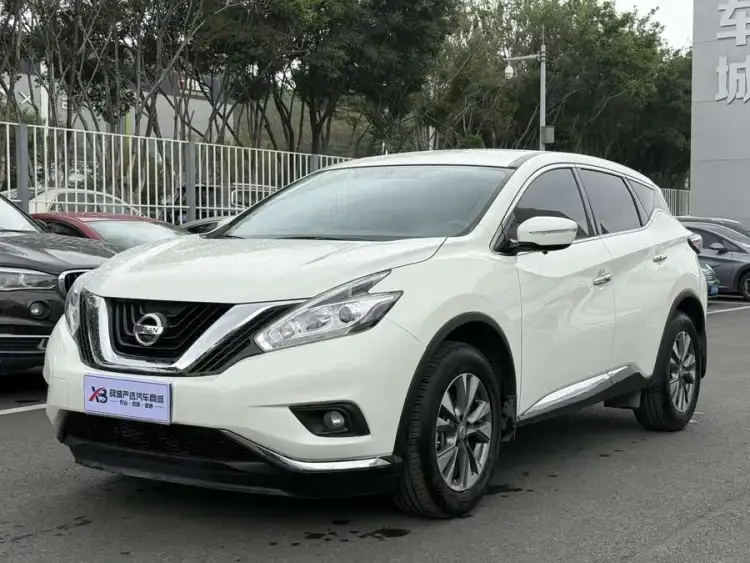 Loulan 2021 2.5L XE Two-Wheel Drive Elite Edition