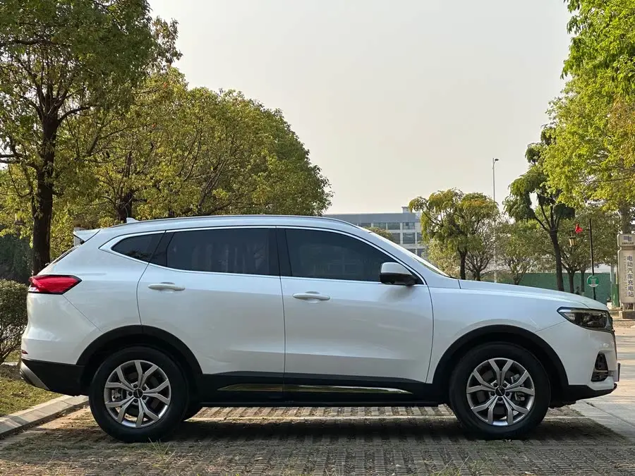 Haval H6 2021 National Trend Edition 1.5T Automatic Champion Version