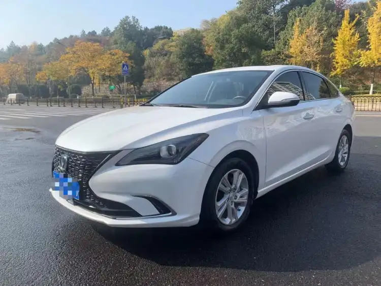 Yidong 2020 Plus Blue Whale NE 1.4T GDI DCT锋尚型