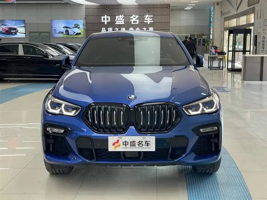 BMW X6 2020 xDrive40i Luxury M Sport Package