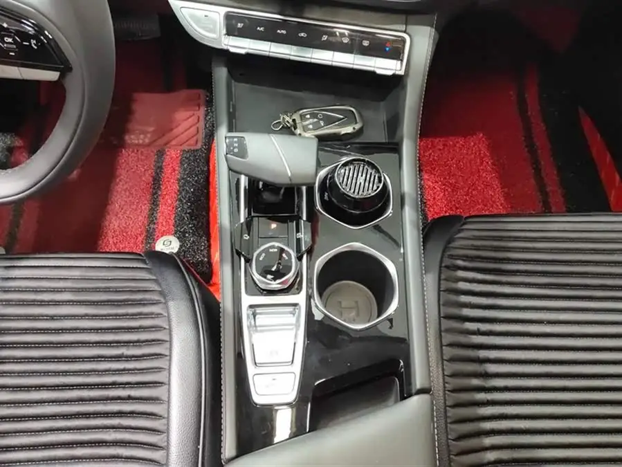 Yidong 2022 PLUS Blue Whale NE 1.4T GDI DCT Premium Version