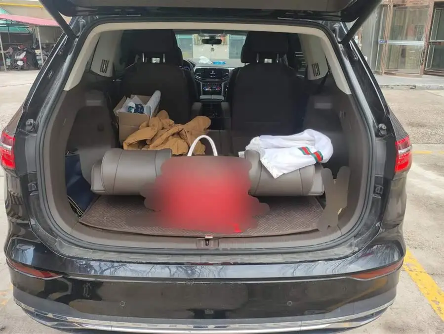 Weiran 2020 Model 380TSI Premium Edition