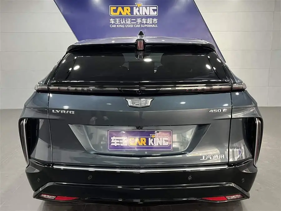 IQ Ruiteng 2022 Rear-wheel Drive Long Range Premium Version