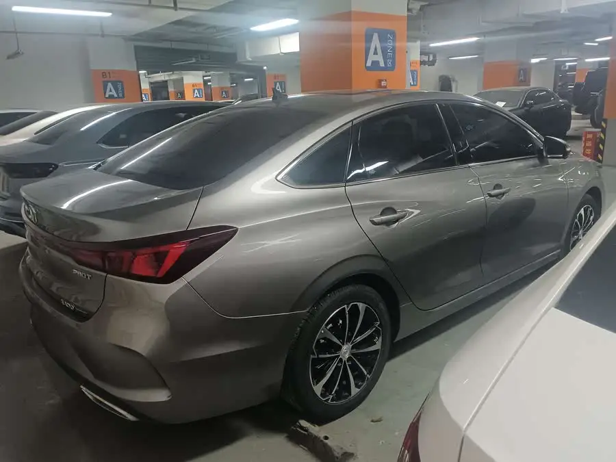 Yidong 2022 PLUS Blue Whale NE 1.4T GDI DCT Flagship Version