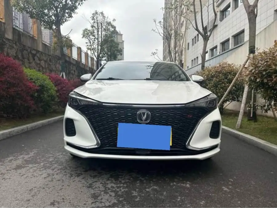 Yidong 2020 Plus Blue Whale NE 1.4T GDI DCT Fengshang Edition