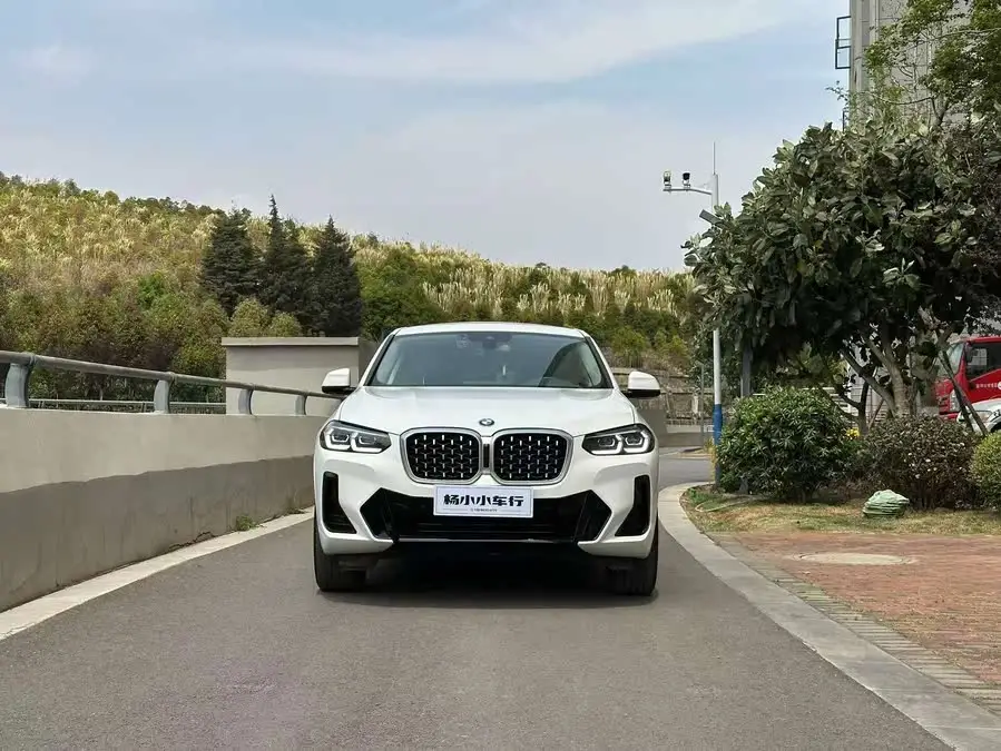BMW X4 2022 xDrive 25i M Sport Package