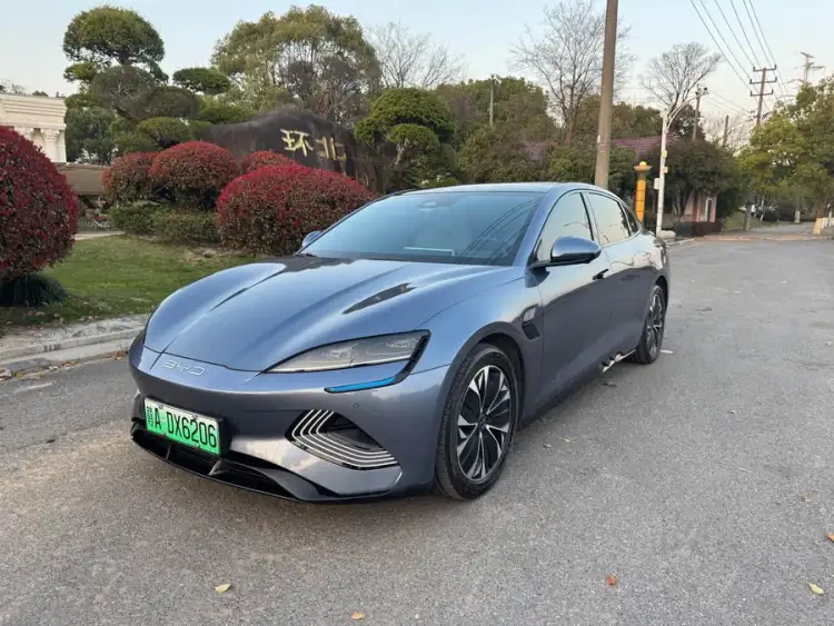 Seal 2022 Model 550km Standard Range Rear-Wheel Drive Elite Version