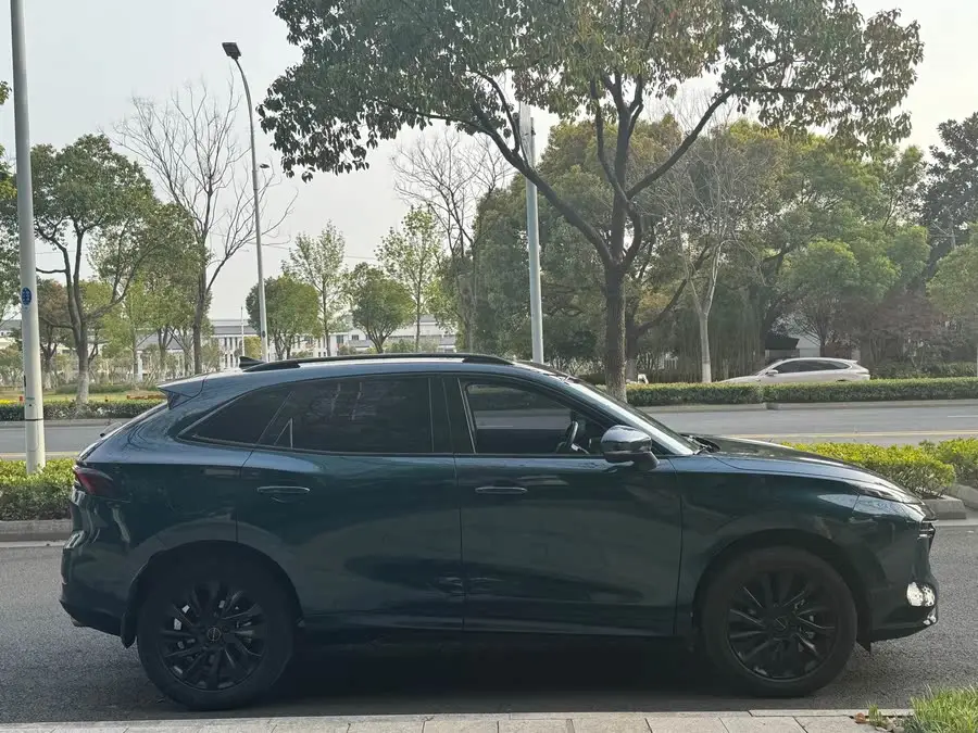 Fengxing T5 EVO 2021 1.5TD DCT Platinum Edition