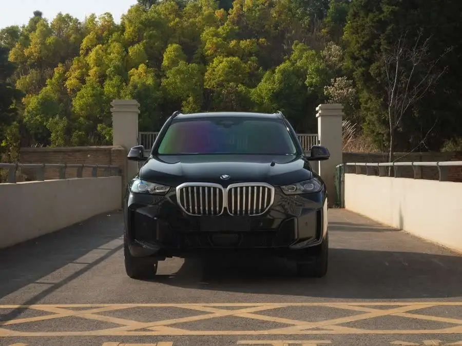 BMW X5 2023 xDrive 30Li M Sport Night Package