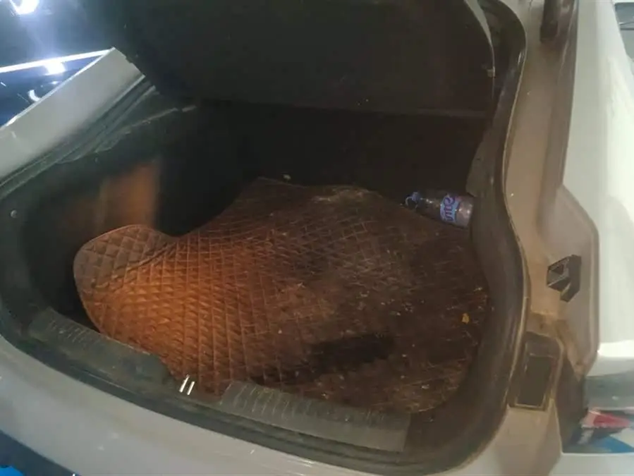 Changan UNI-V 2022 1.5T Premium