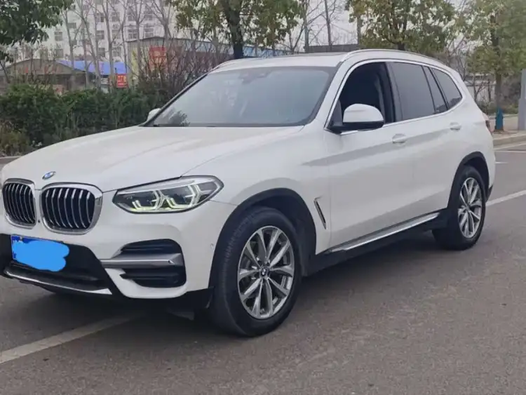 BMW X3 2020 xDrive25i Luxury Package