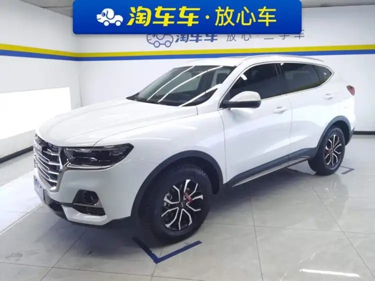 Haval H6 2021 National Trend Edition 1.5T Automatic Urban Version