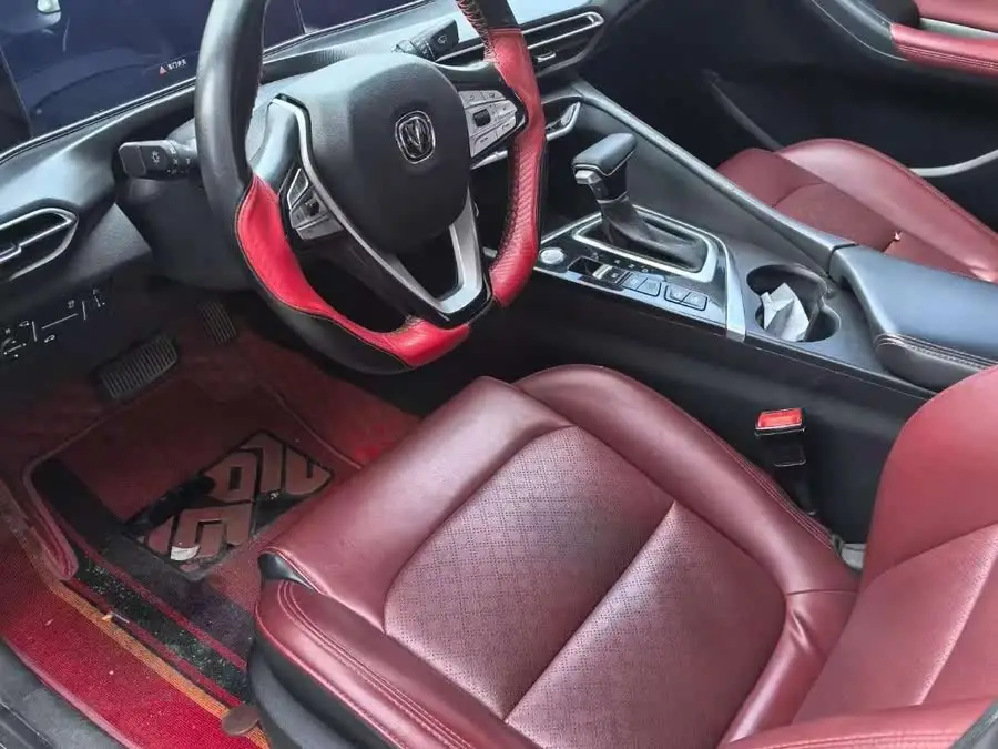 Yidong 2020 Plus Blue Whale NE 1.4T GDI DCT Premium