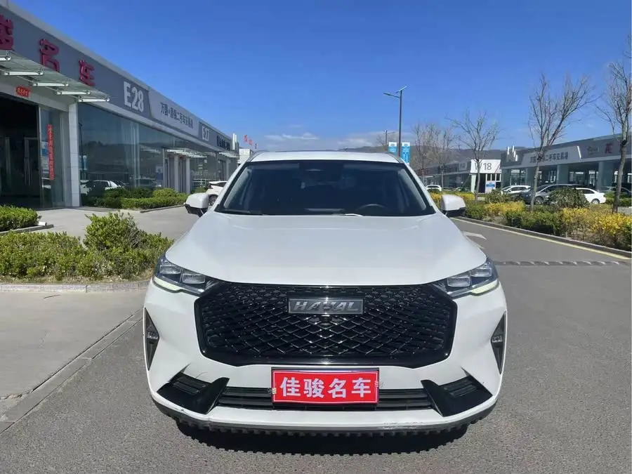 هافال H6 2021 الطراز الثالث 2.0T أوتوماتيكي دفع رباعي ماكس