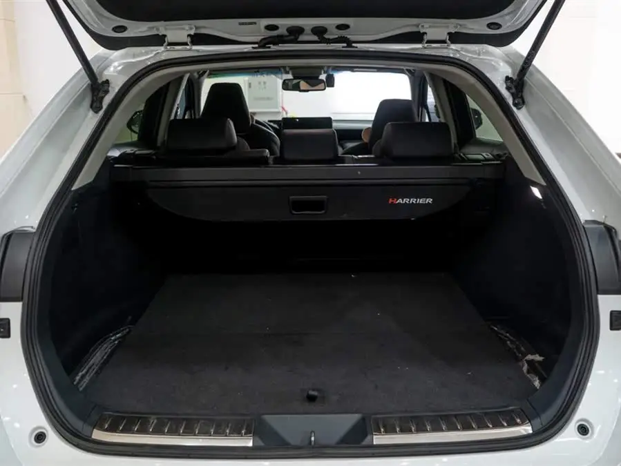 Lingfang HARRIER 2023 2.0L CVT Two-Wheel Drive Luxury Edition